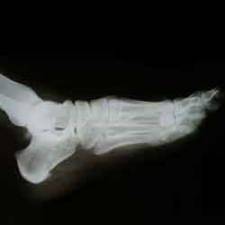 Introduction to Radiology